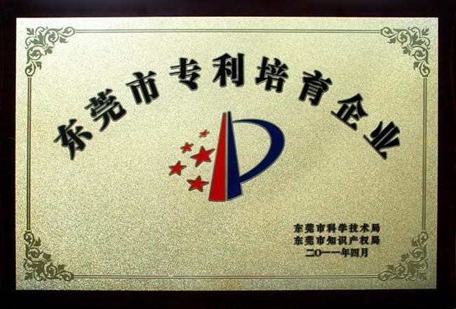 Dongguan Patent Training Enterprise